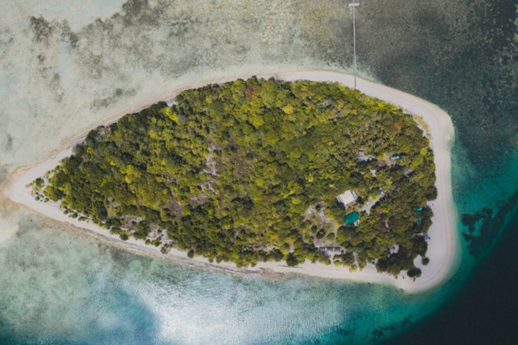 En una isla desierta, la ciencia descubre cómo funciona la brújula cerebral de los murciélagos