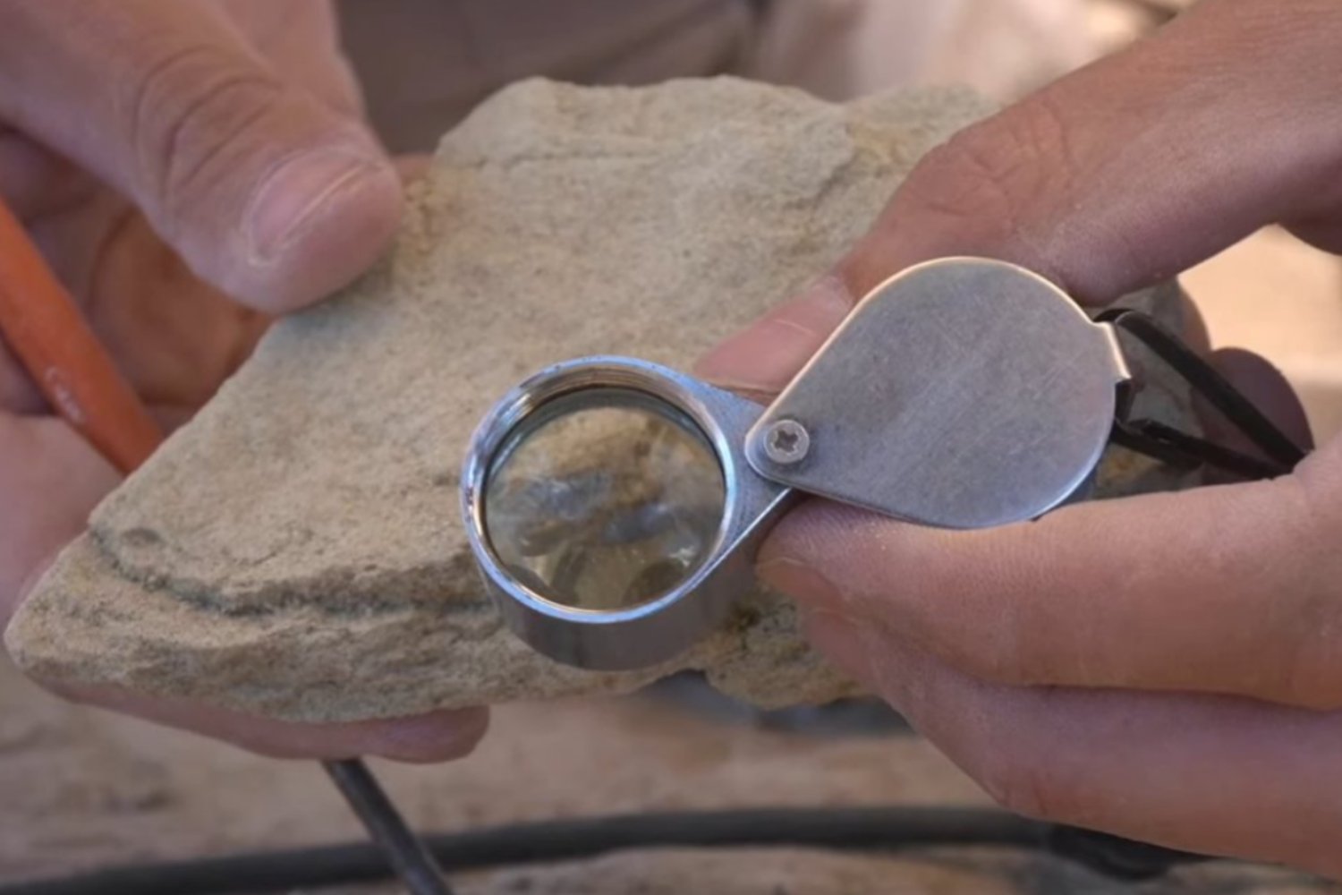 ¿La vida compleja evolucionó dos veces? El debate tras el hallazgo de restos en Gabón