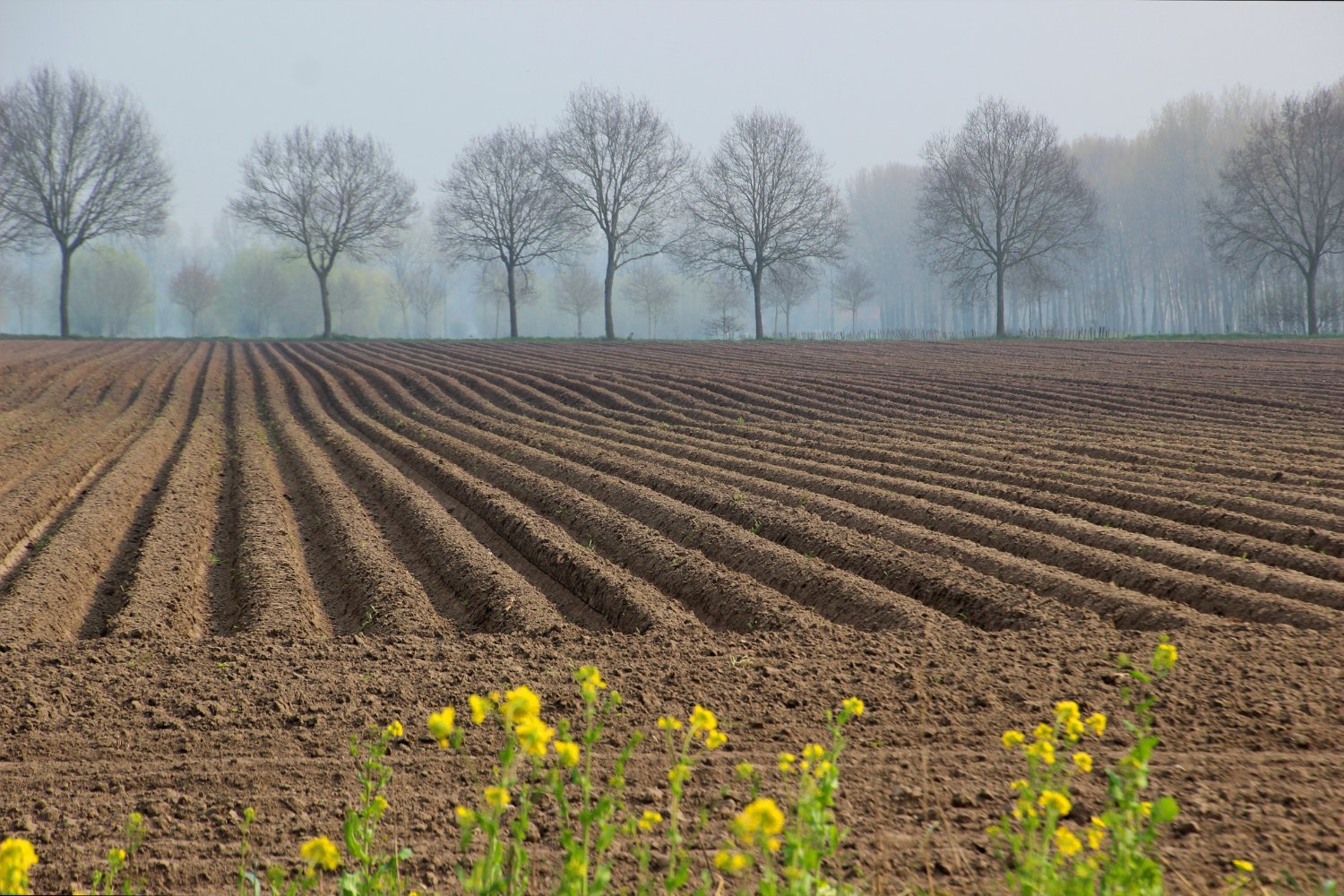 El precio oculto de la agricultura intensiva: por qué los suelos del mundo están en riesgo