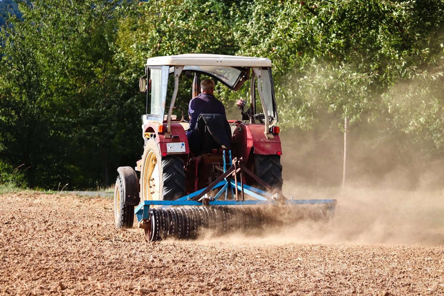 El precio oculto de la agricultura intensiva: por qué los suelos del mundo están en riesgo