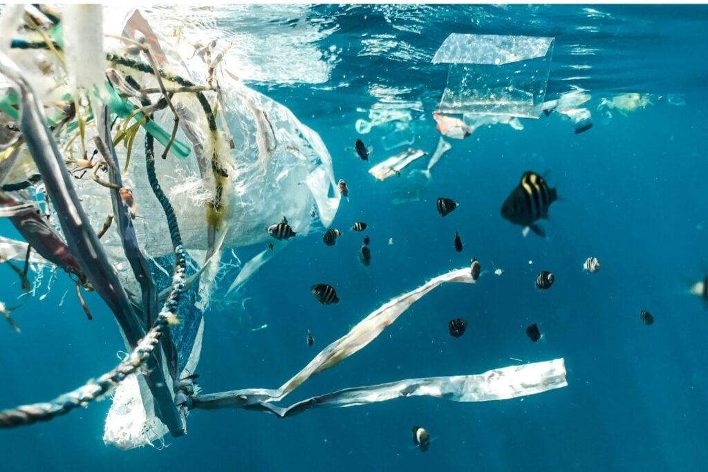 Clean Up Invento Frances Para Residuos