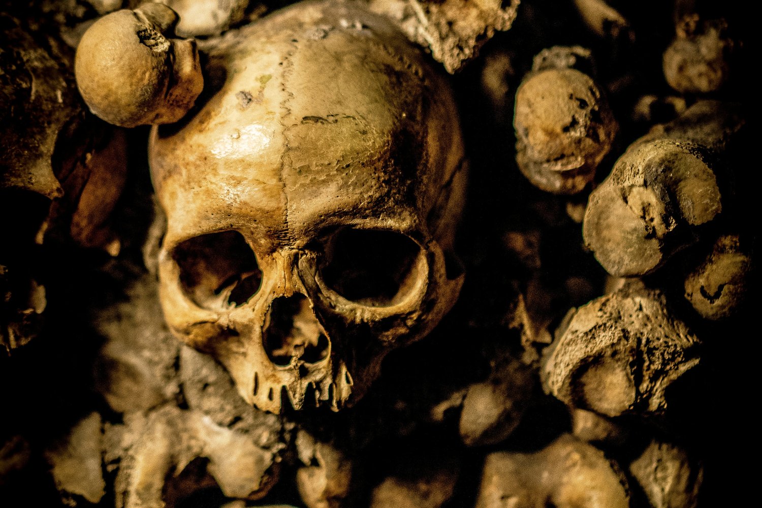 Craneo Hallado 4000 Años