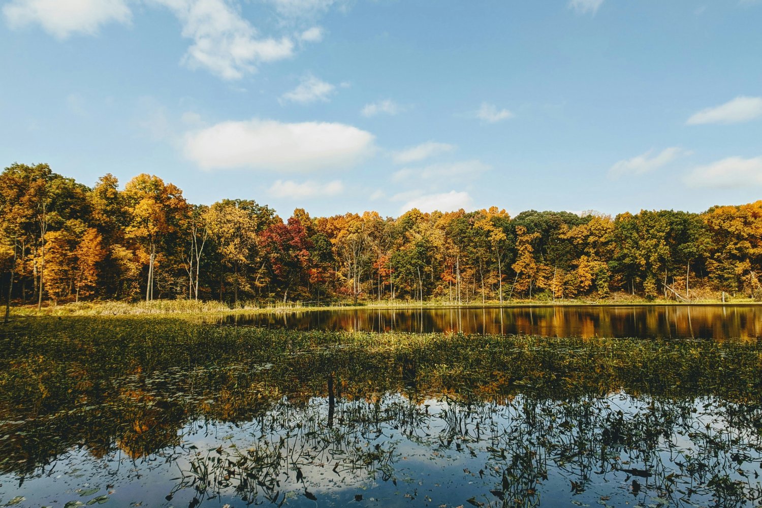 Descubren Craneo Antiguo Indiana