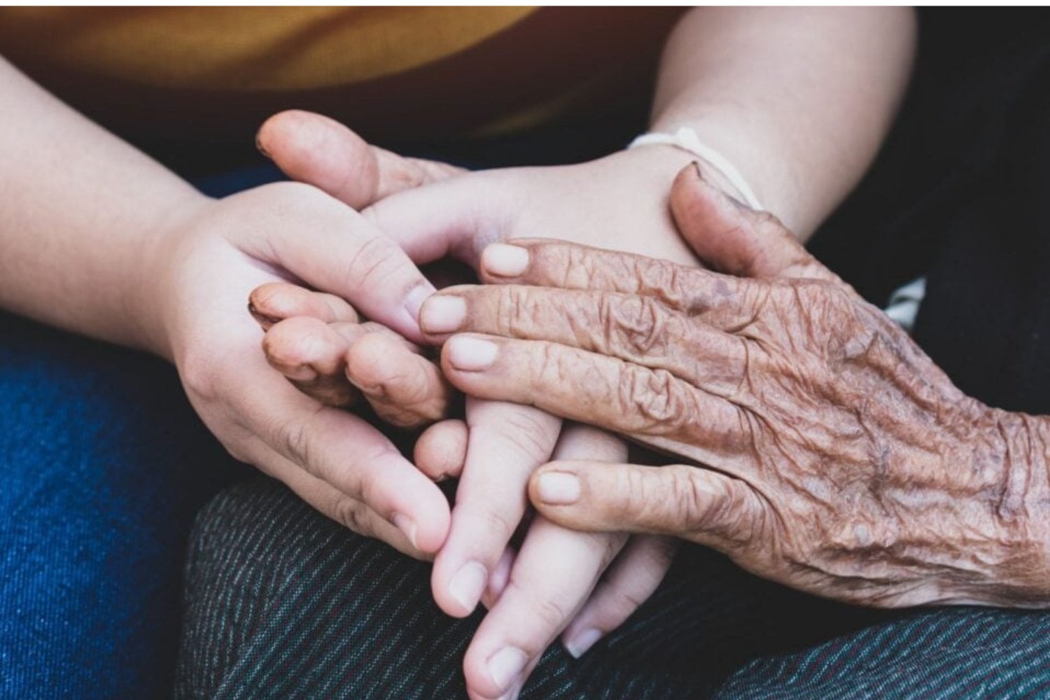 El Envejecimiento Del Ser Humano