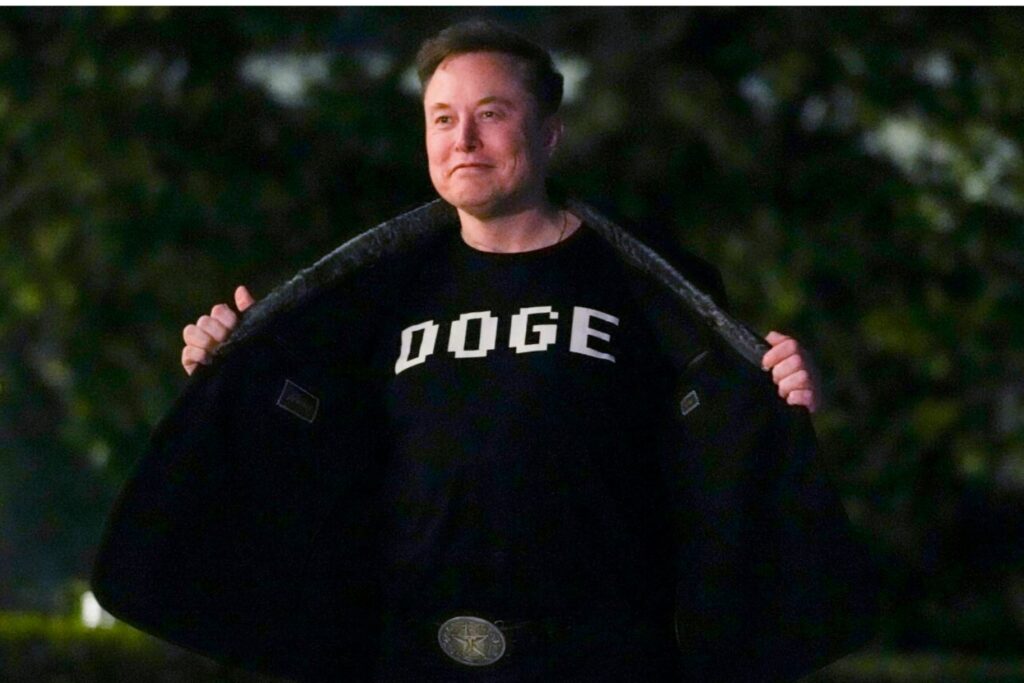 Estafas De Criptomonedas Musk