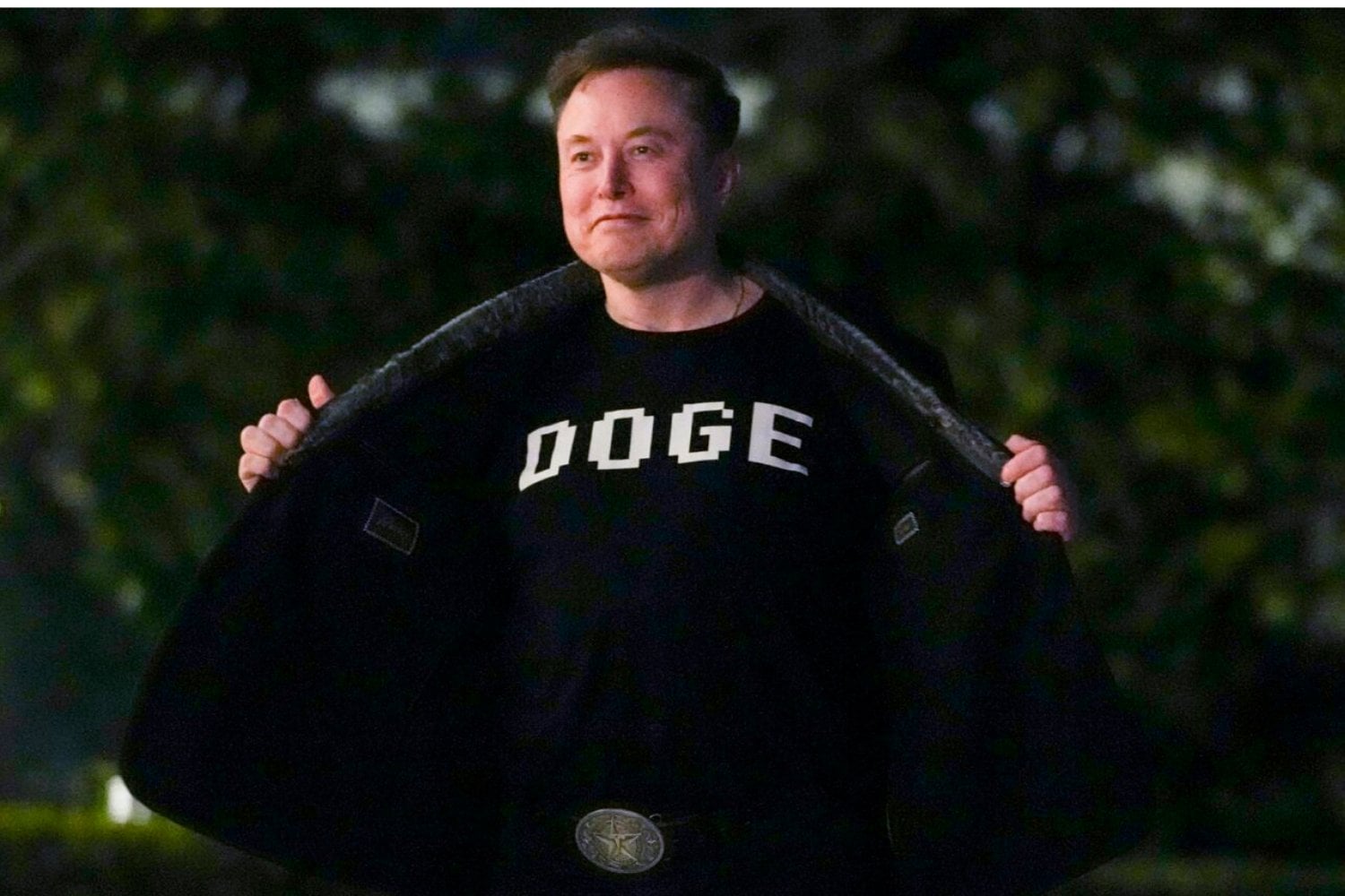 Estafas De Criptomonedas Musk