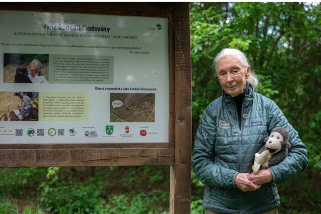 Muere Jane Goodall