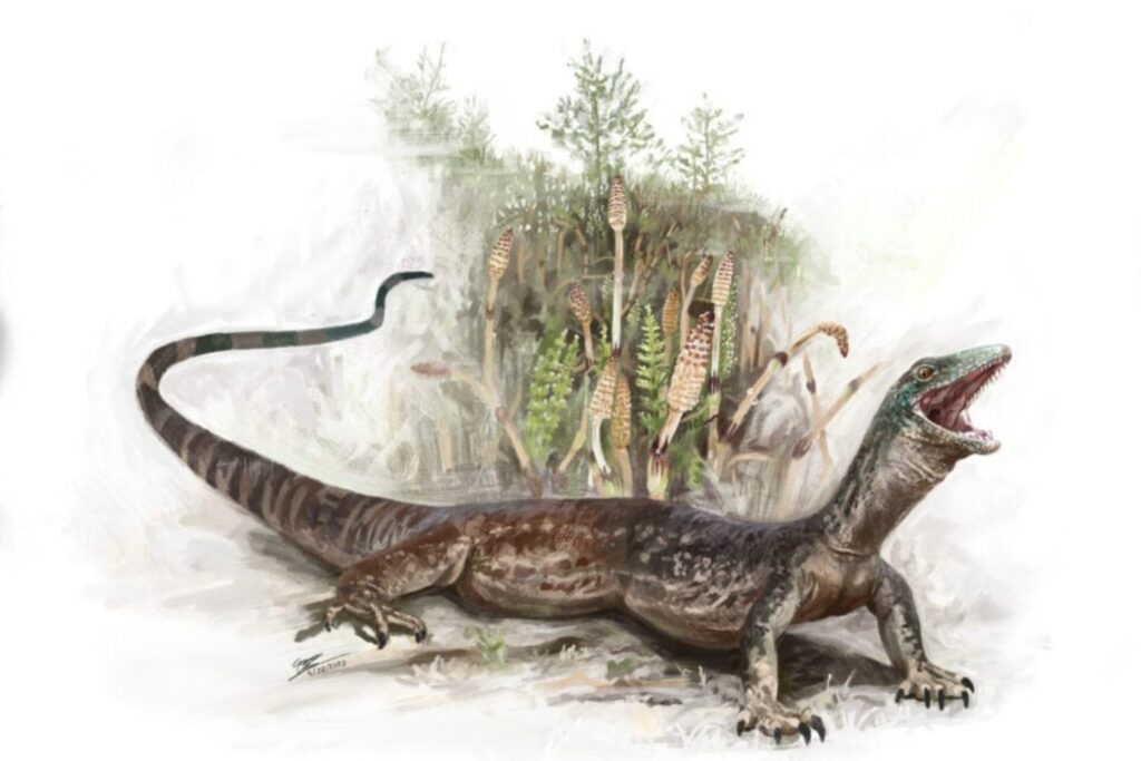 Reptil Del Jurasico