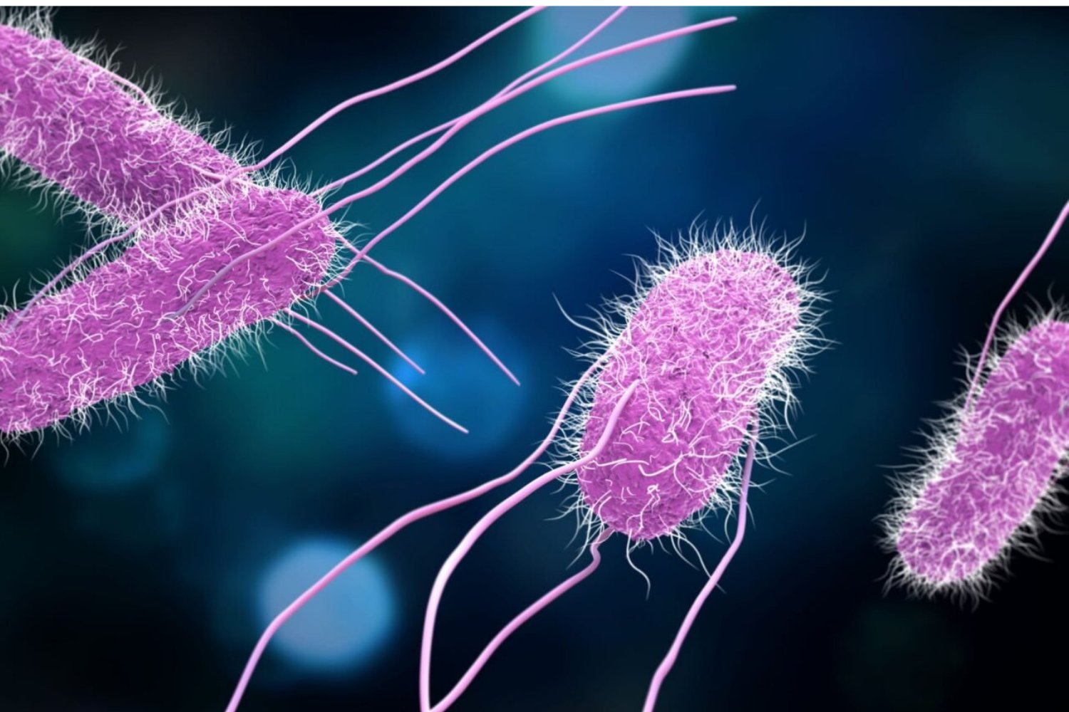 Vacuna Contra La Intoxicacion