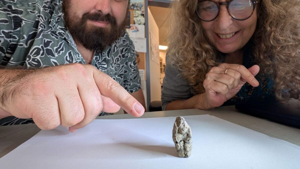 Una pieza arqueológica de hace 12.000 años está desconcertando a los investigadores. Su escena, una de las más antiguas jamás halladas, muestra una interacción inesperada entre humanos y animales