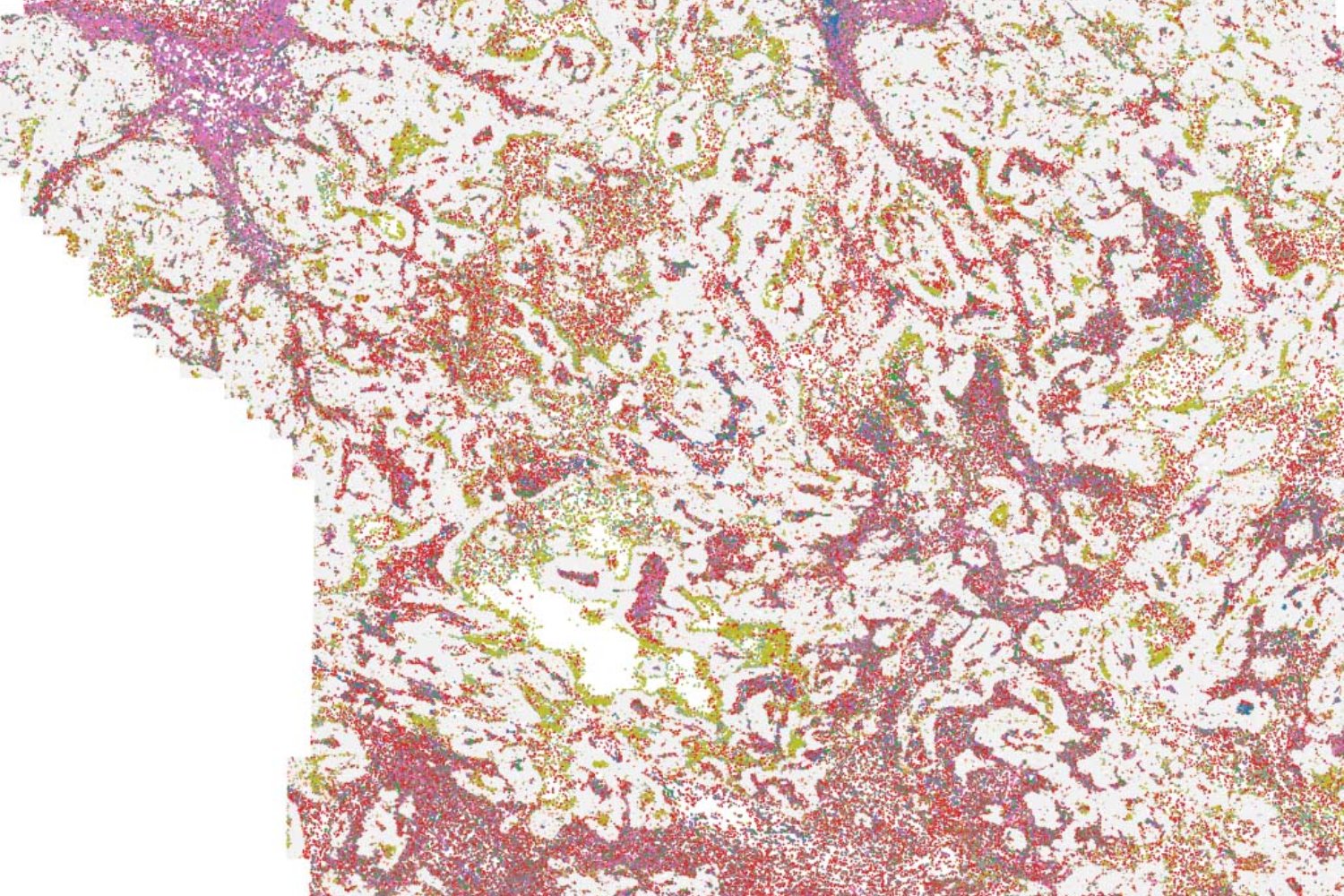 Diseñan moléculas inteligentes capaces de reprogramar la defensa de los tumores desde dentro. El hallazgo apunta a una nueva era de inmunoterapia más precisa y localizada