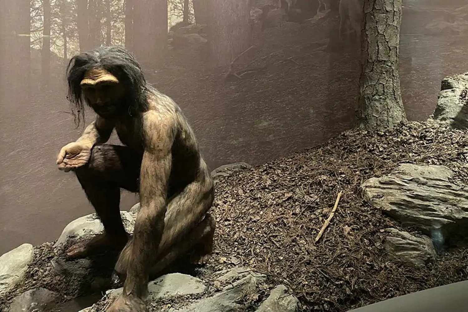 No fue el cazador, fue la presa: la inteligencia artificial reescribe la historia de Homo habilis