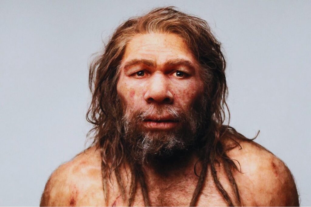 La historia estaba mal contada. Un sorprendente análisis genético sugiere que los neandertales no murieron, sino que fueron absorbidos poco a poco por nuestra especie durante miles de años