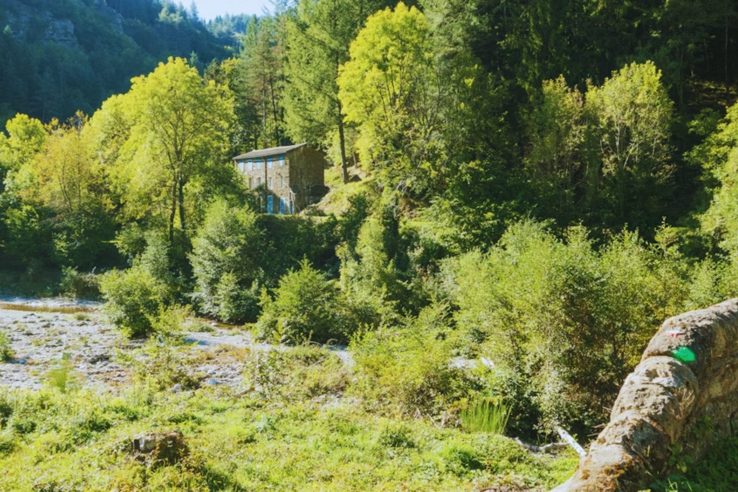 El sueño de vivir fuera del sistema acabó en un juzgado. Italia retiró a los hijos de una familia off-grid y Europa mira con preocupación