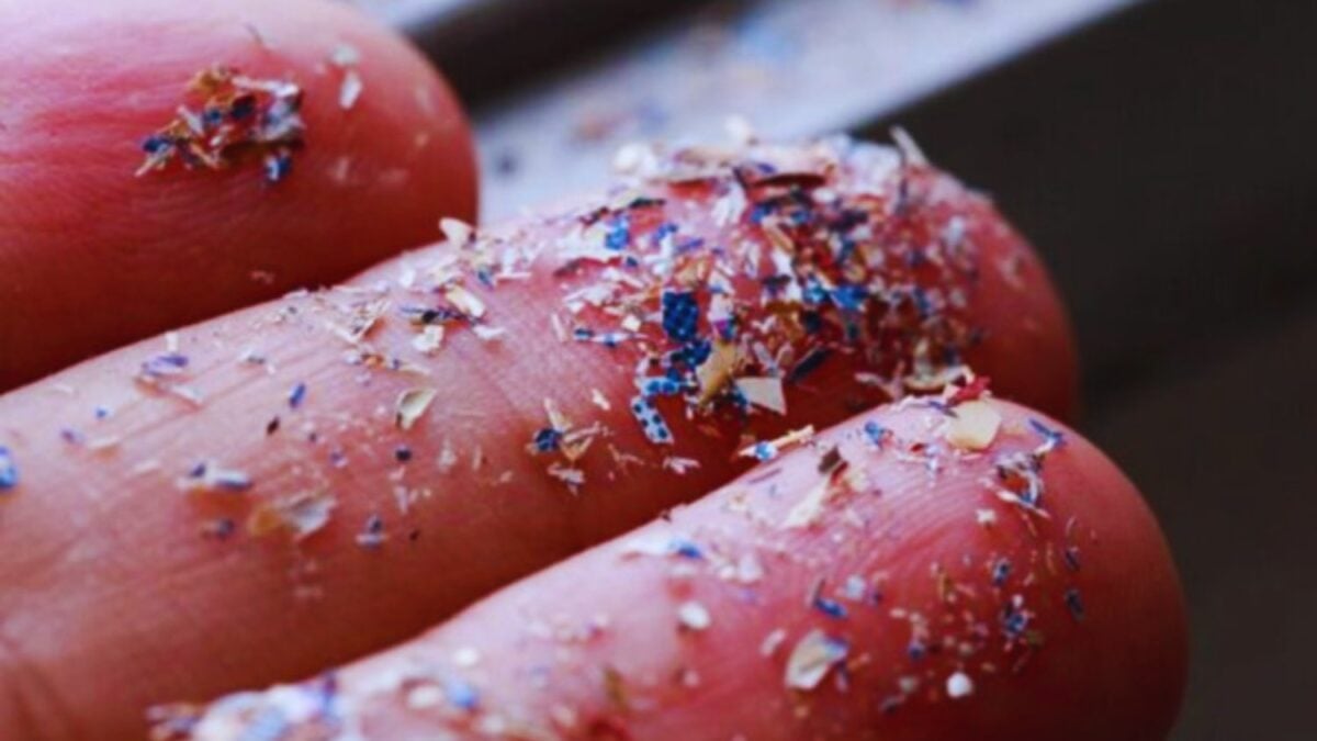 La contaminación era solo el principio. Los microplásticos pueden distribuir bacterias resistentes a antibióticos por ríos, costas y ecosistemas marinos