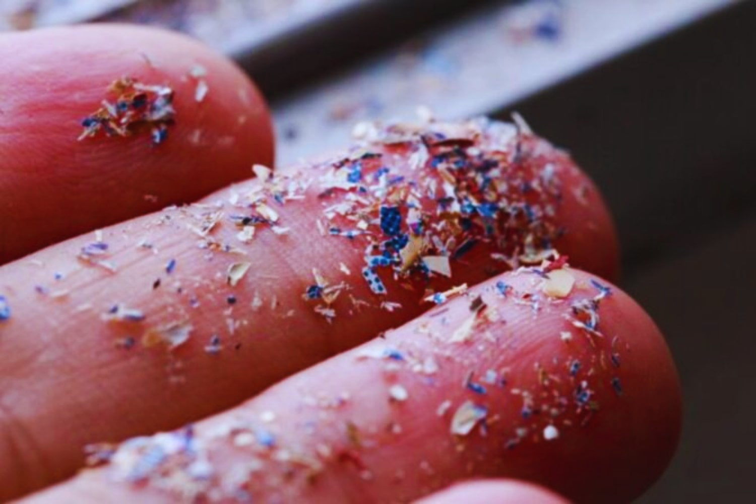 La contaminación era solo el principio. Los microplásticos pueden distribuir bacterias resistentes a antibióticos por ríos, costas y ecosistemas marinos