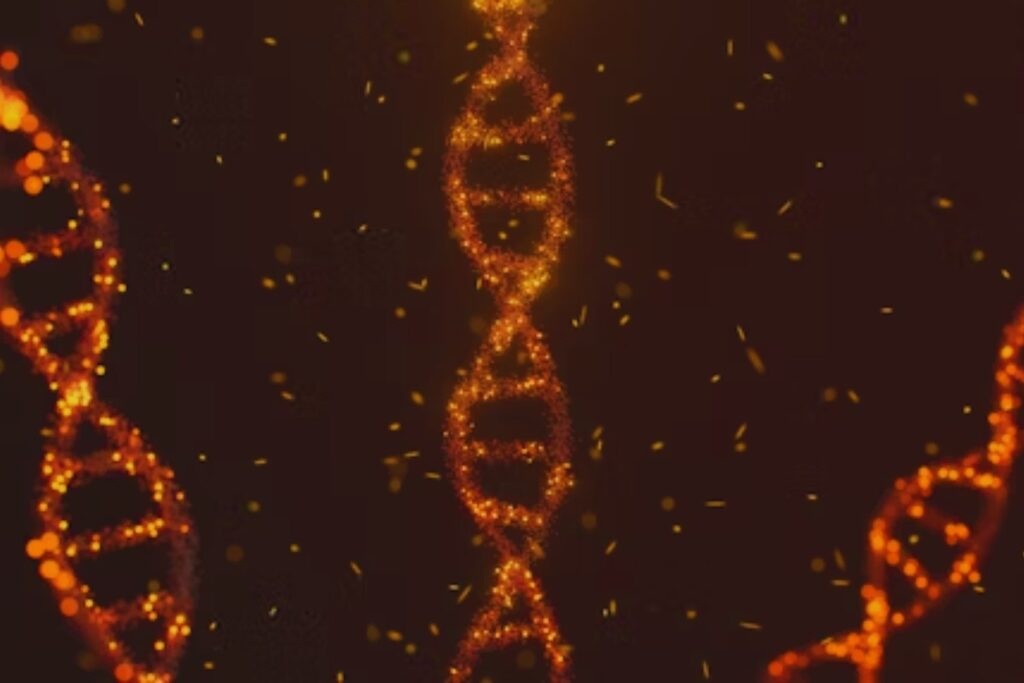 El ADN de los españoles no es tan único como se pensaba: un estudio revela adaptaciones genéticas compartidas con toda Europa