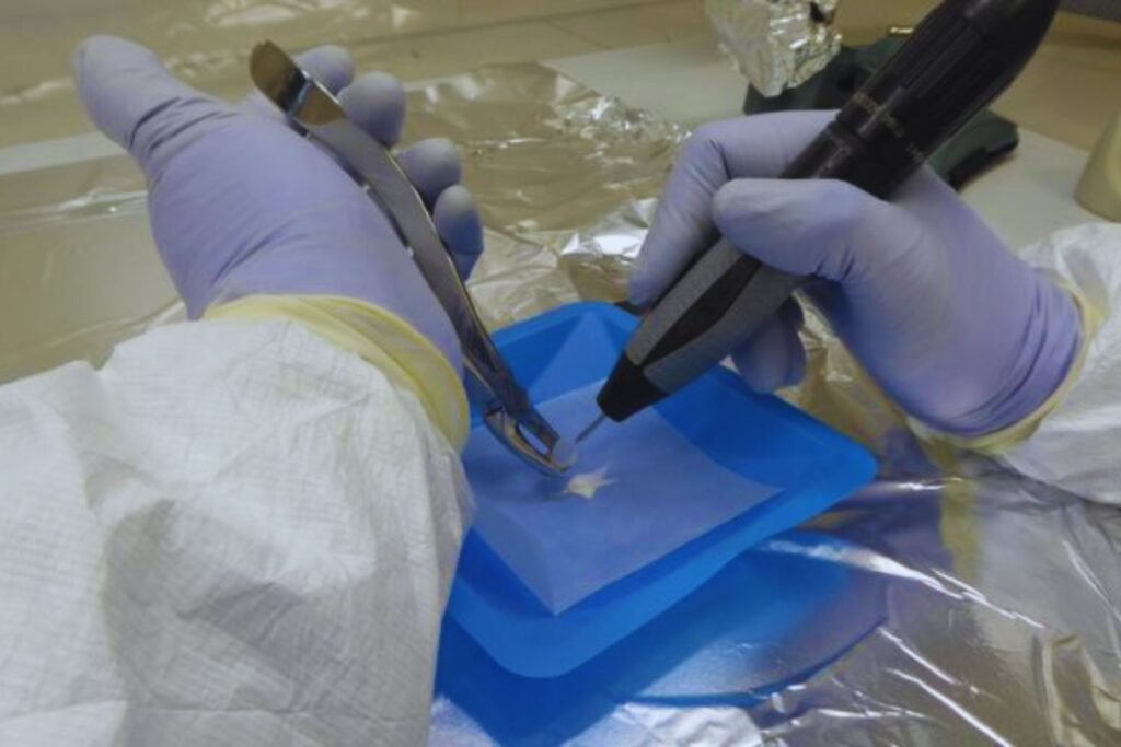 Durante 8.500 años, un linaje oculto resistió en silencio. Y acaba de revelar el secreto genético del corazón de Argentina