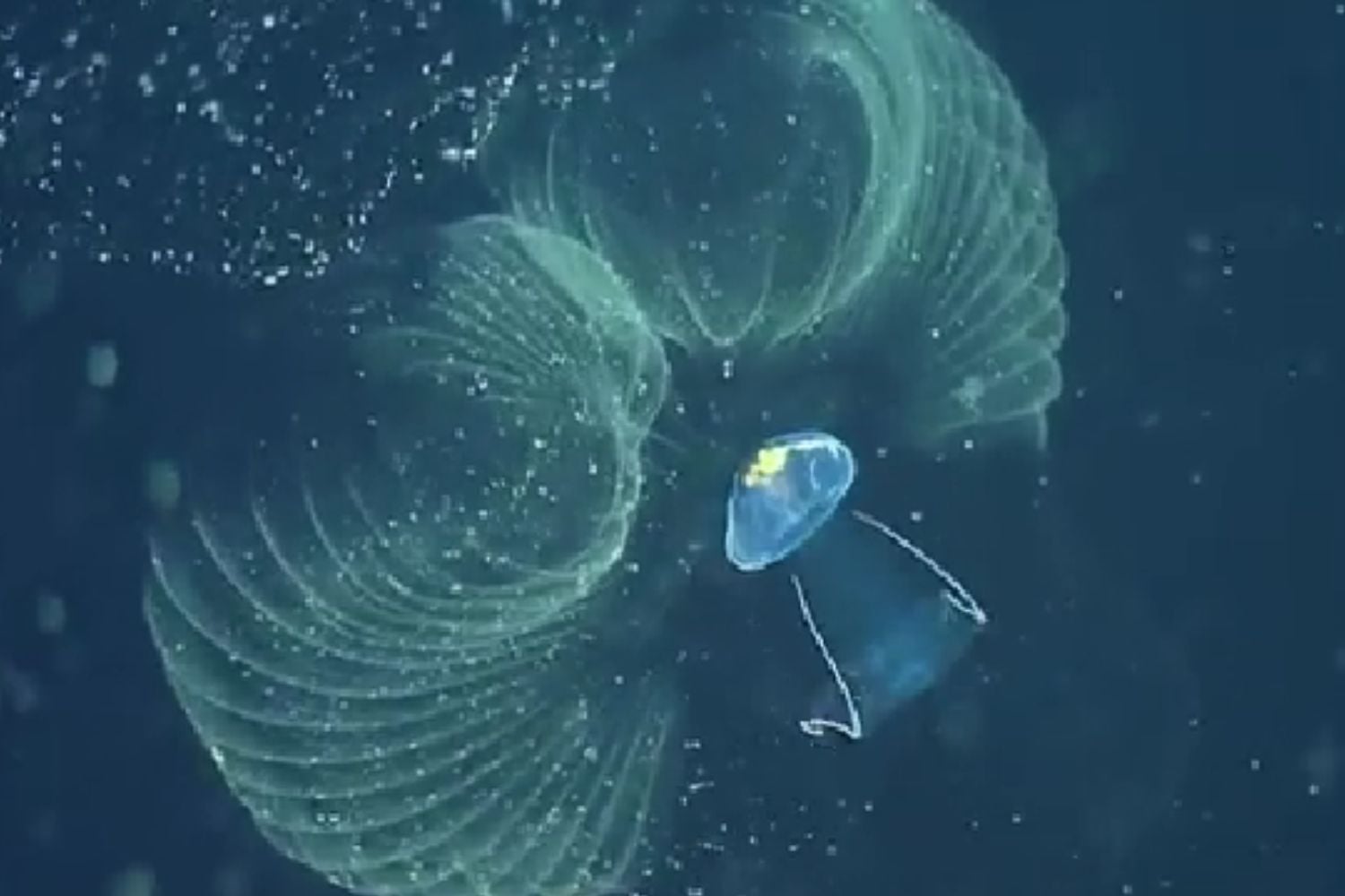 Diseño Sin Título 2025 11 02t210752.674