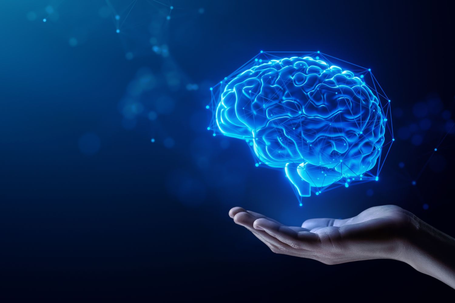 Diseño Sin Título 2025 11 07t093406.359