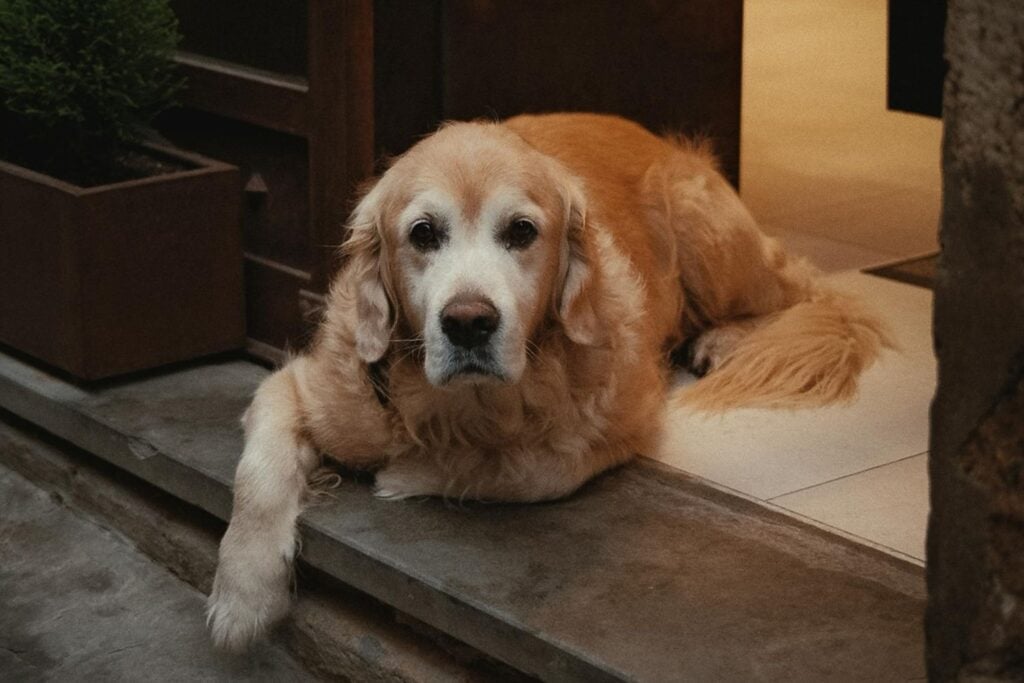 Diseño Sin Título 2025 11 07t095004.118