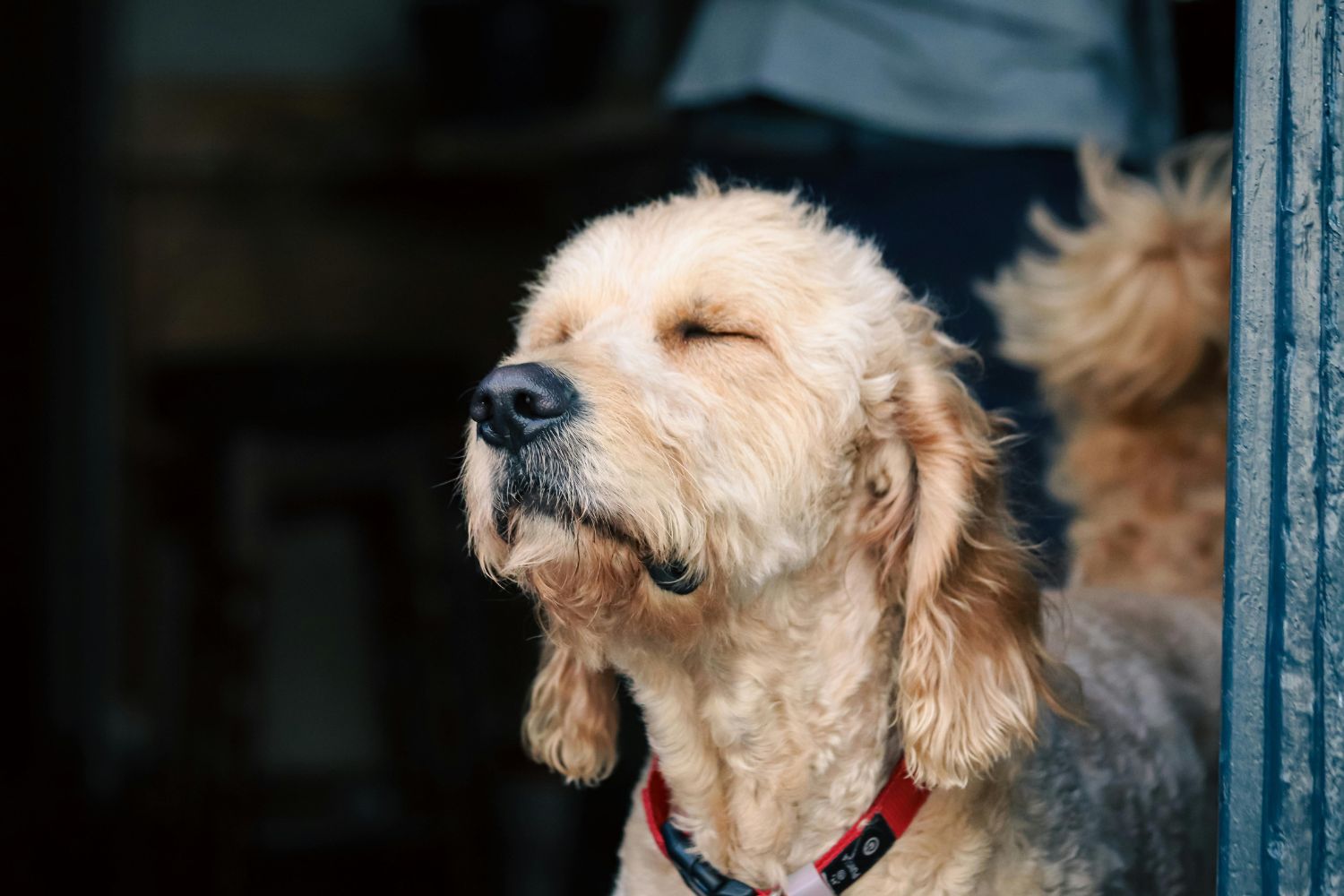 Diseño Sin Título 2025 11 07t100430.171