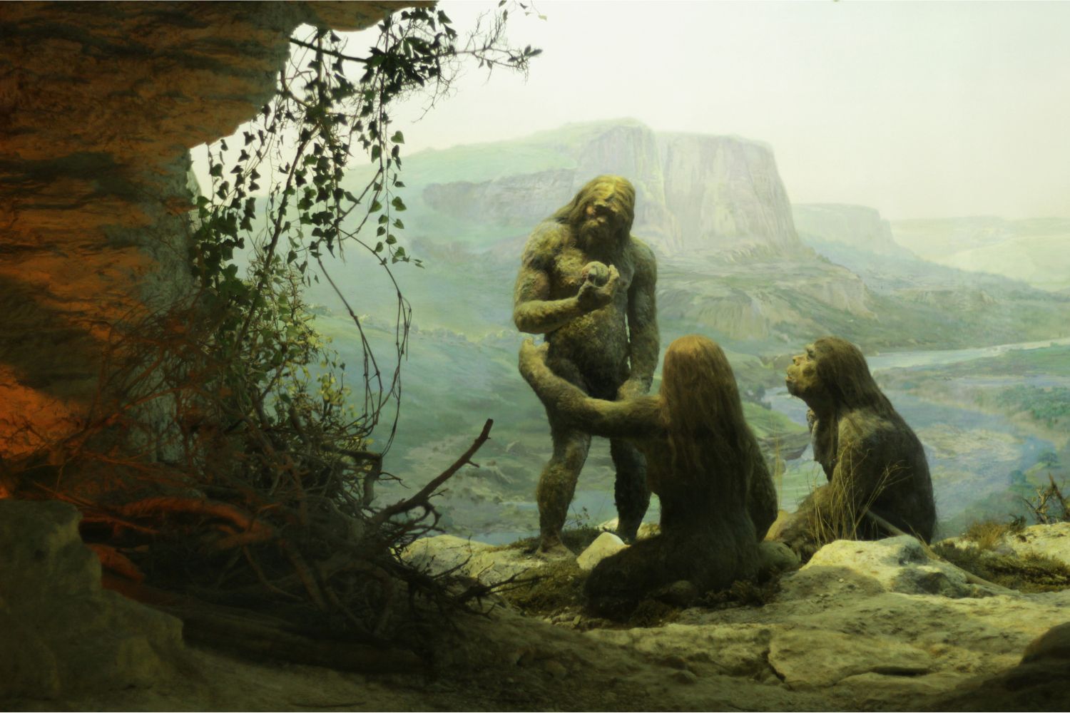 Diseño Sin Título 2025 11 07t105356.222