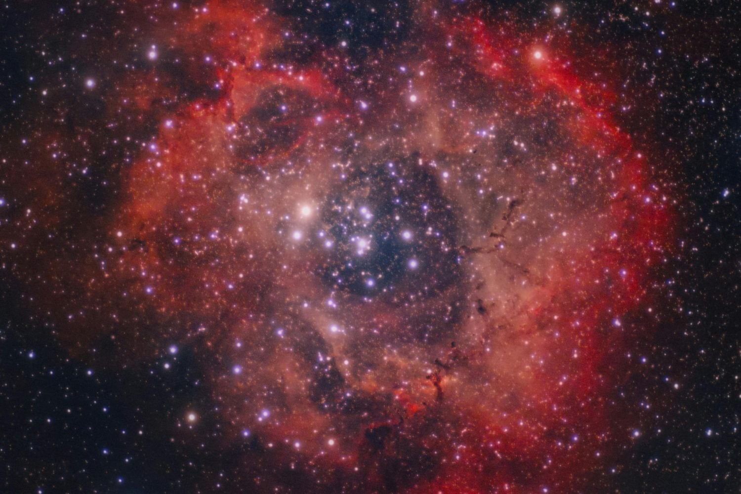 Diseño Sin Título 2025 11 09t100018.202