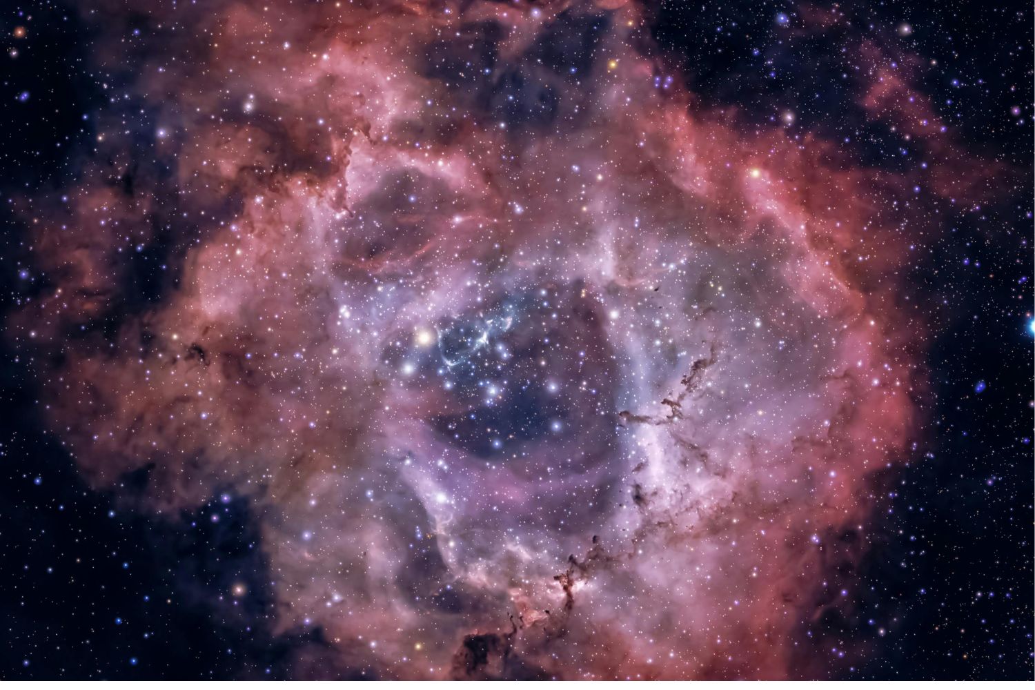 Diseño Sin Título 2025 11 09t100230.103