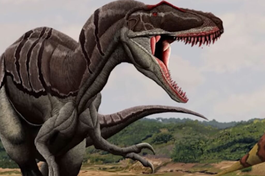 Diseño Sin Título 2025 11 10t170456.513