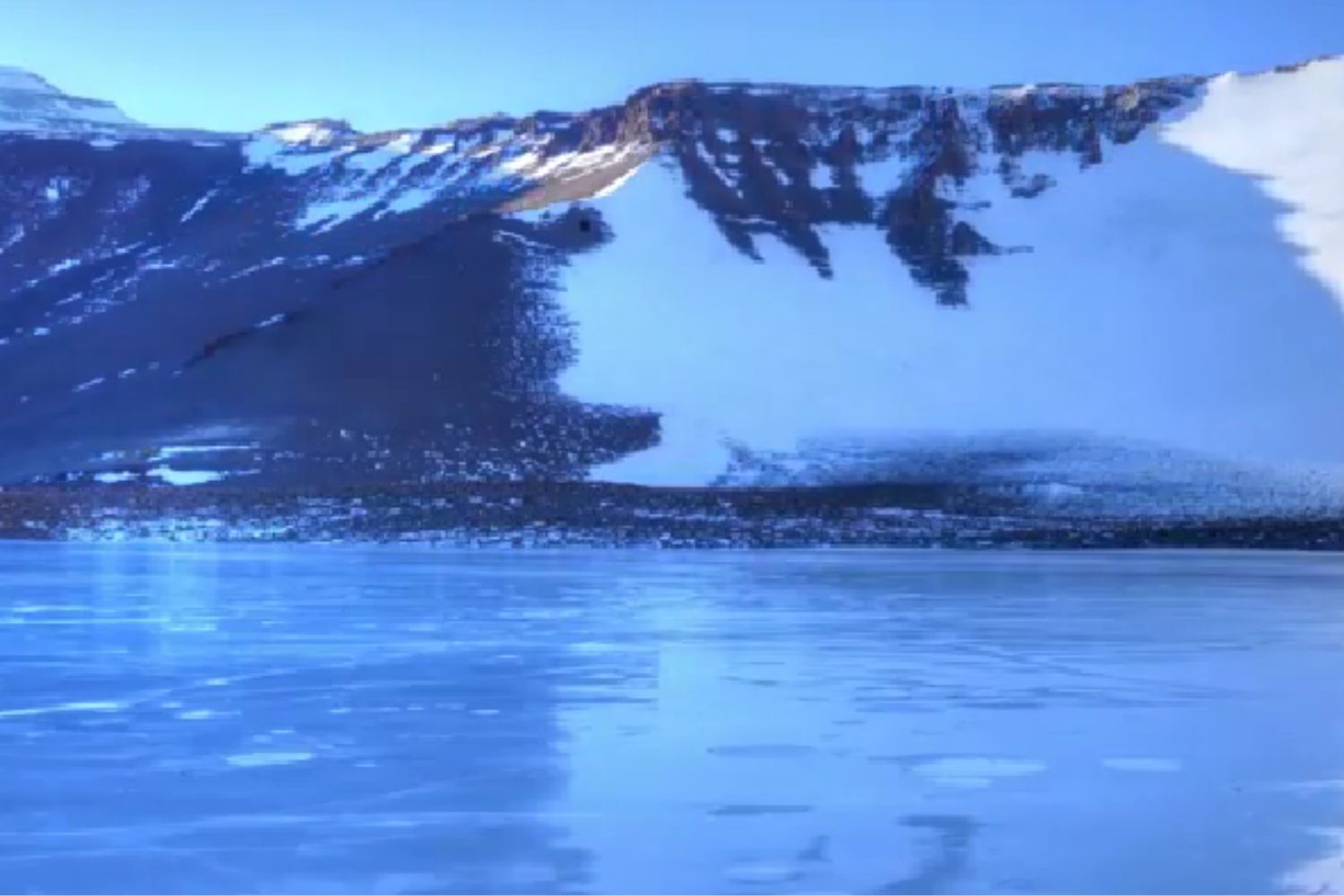 Diseño Sin Título 2025 11 13t225442.521