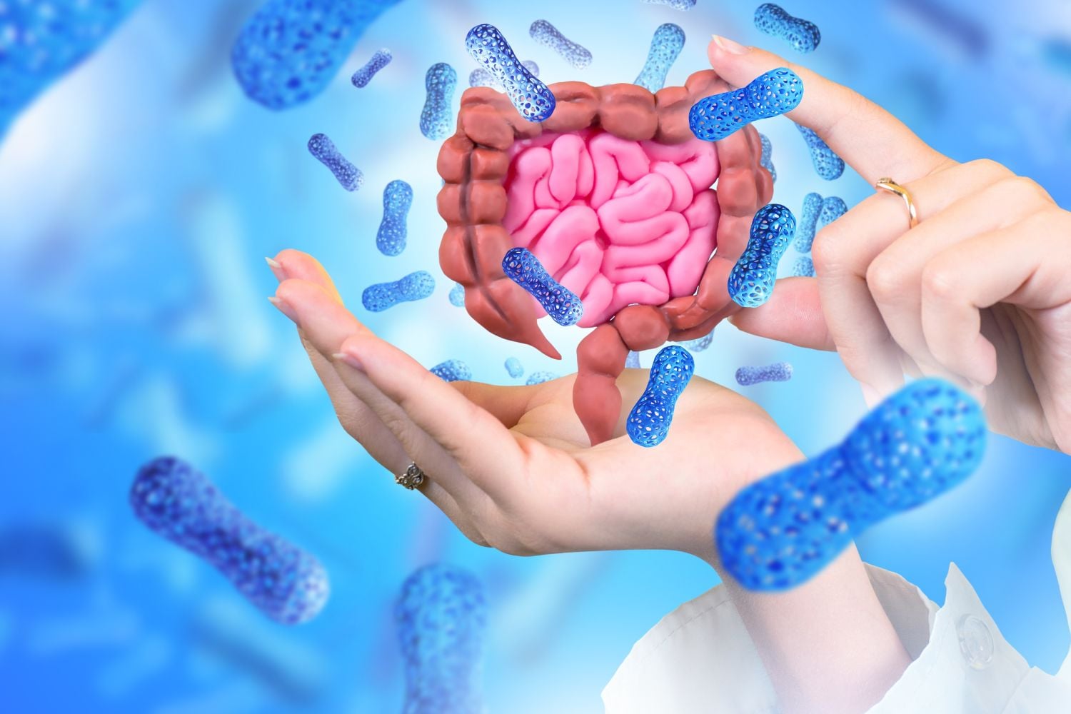 Diseño Sin Título 2025 11 15t084623.909