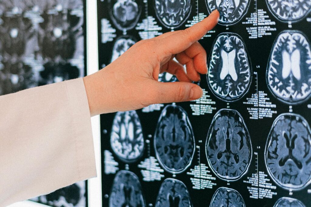 Diseño Sin Título 2025 11 15t103207.986