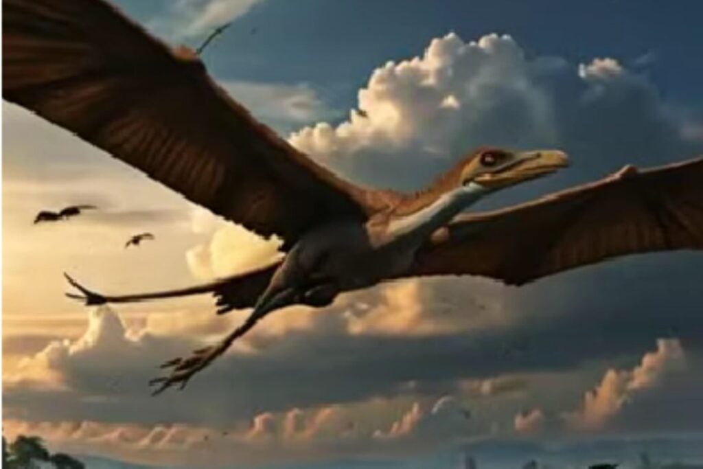 Diseño Sin Título 2025 11 20t173903.184