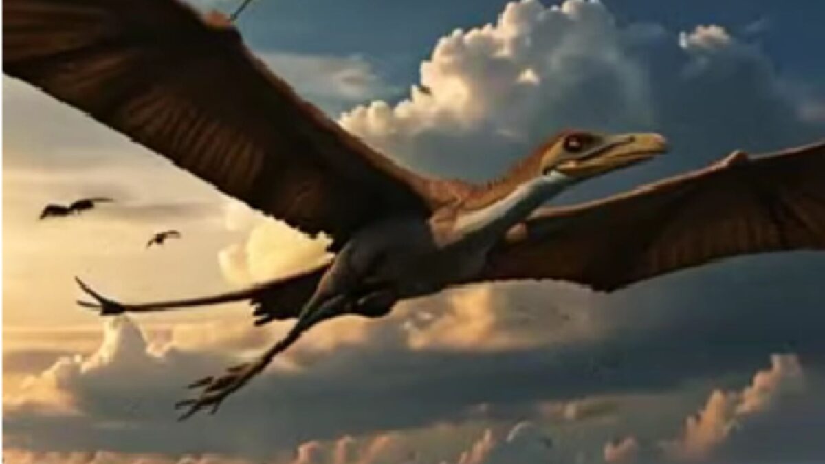 La découverte inattendue qui réécrit l’histoire d’un reptile volant