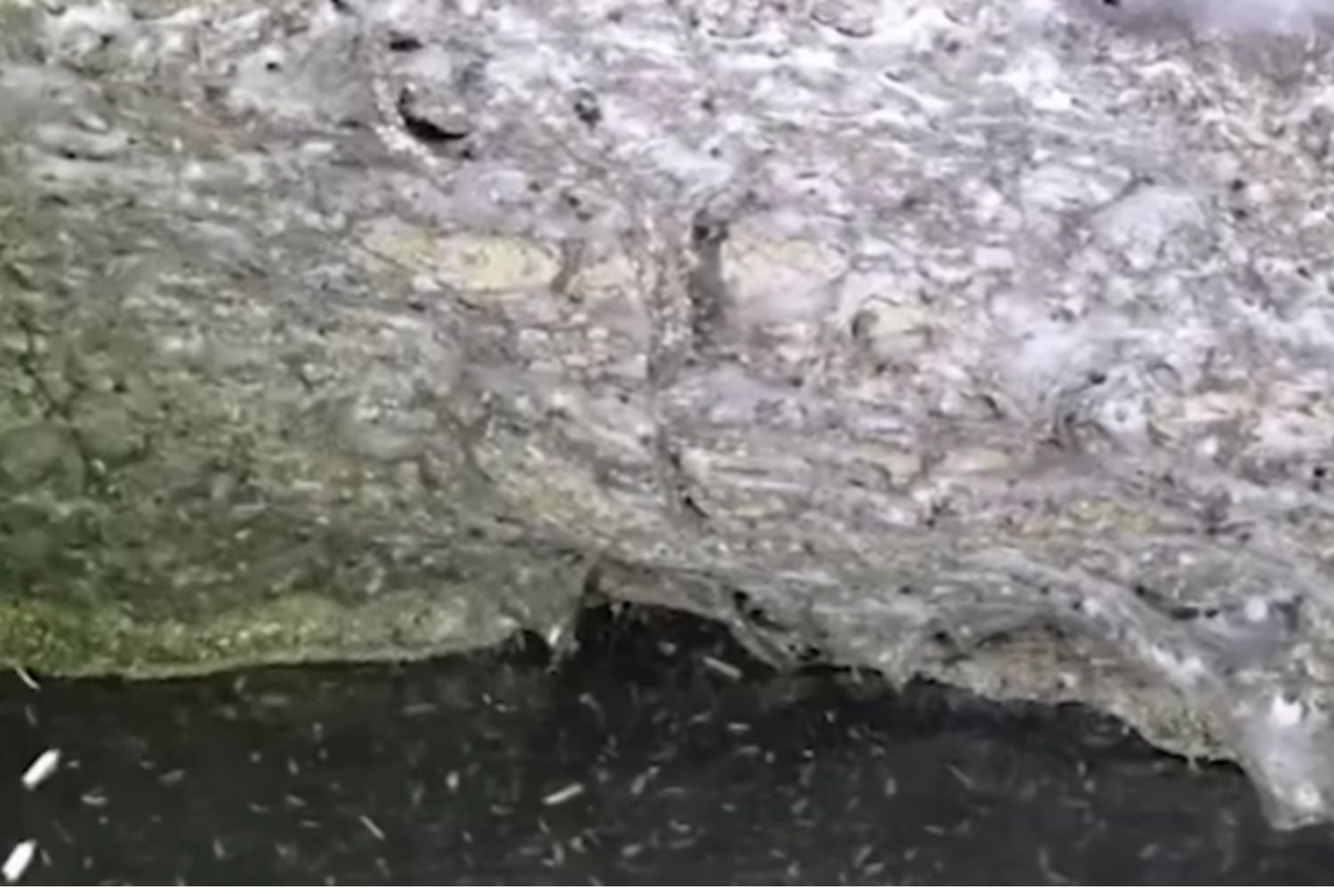 Diseño Sin Título 2025 11 20t190545.418