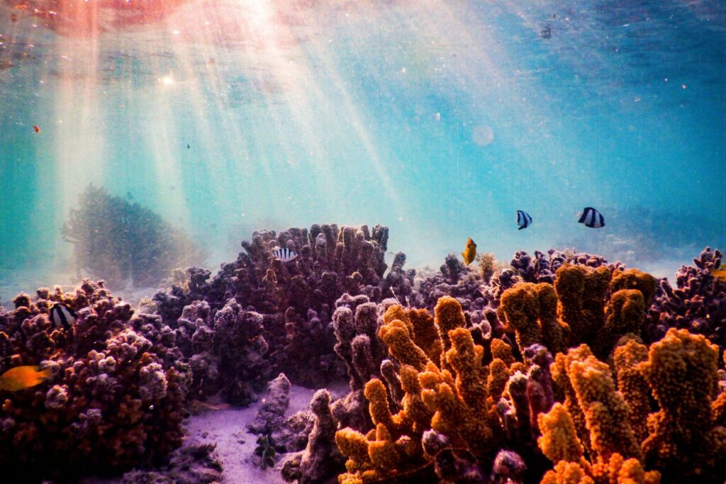 Diseño Sin Título 2025 11 21t112924.616