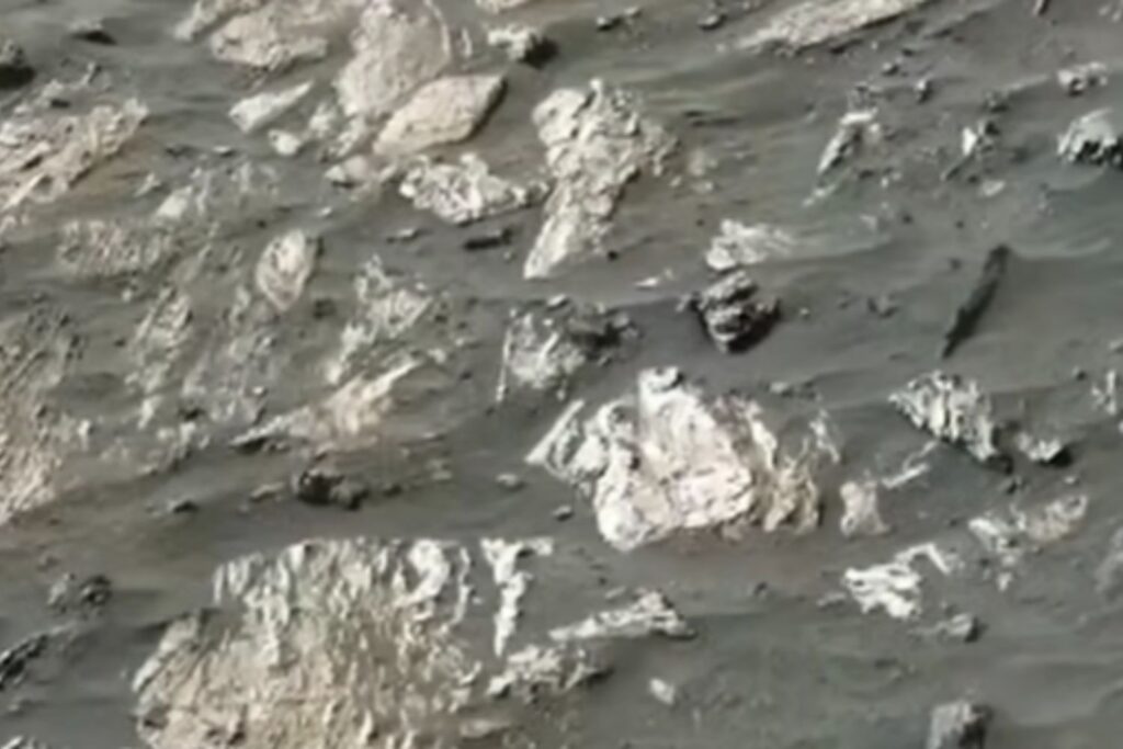 Diseño Sin Título 2025 11 23t095243.215