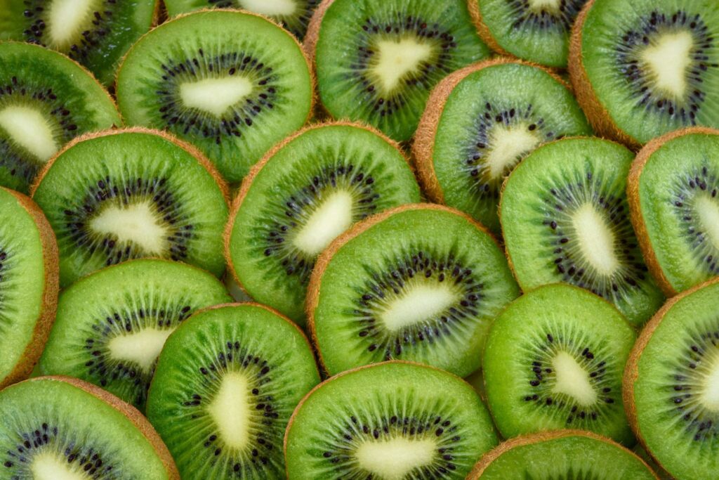 Diseño Sin Título 2025 11 23t104719.325