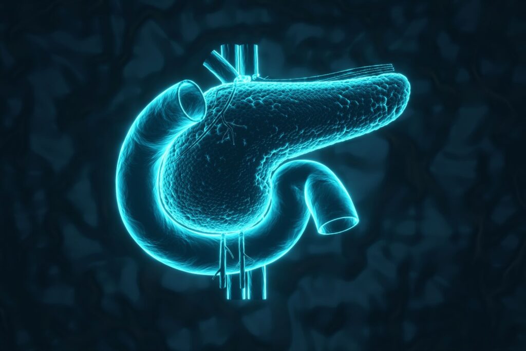 Diseño Sin Título 2025 11 25t115923.001