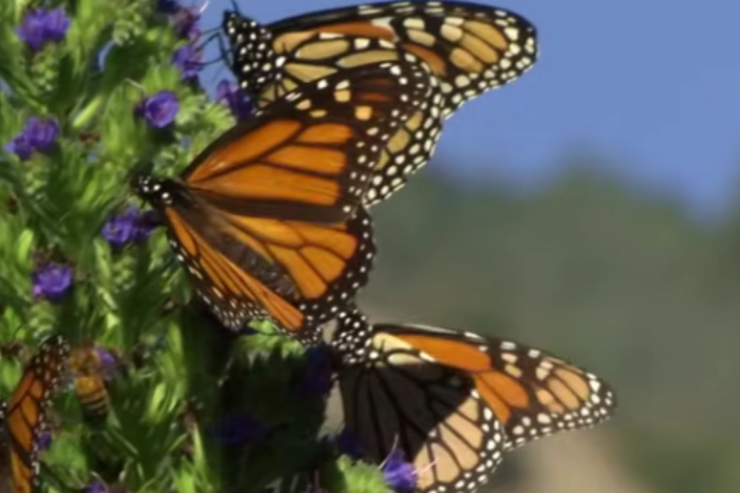 Diseño Sin Título 2025 11 26t094352.520