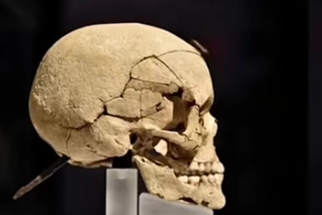 Diseño Sin Título 2025 11 26t104401.095