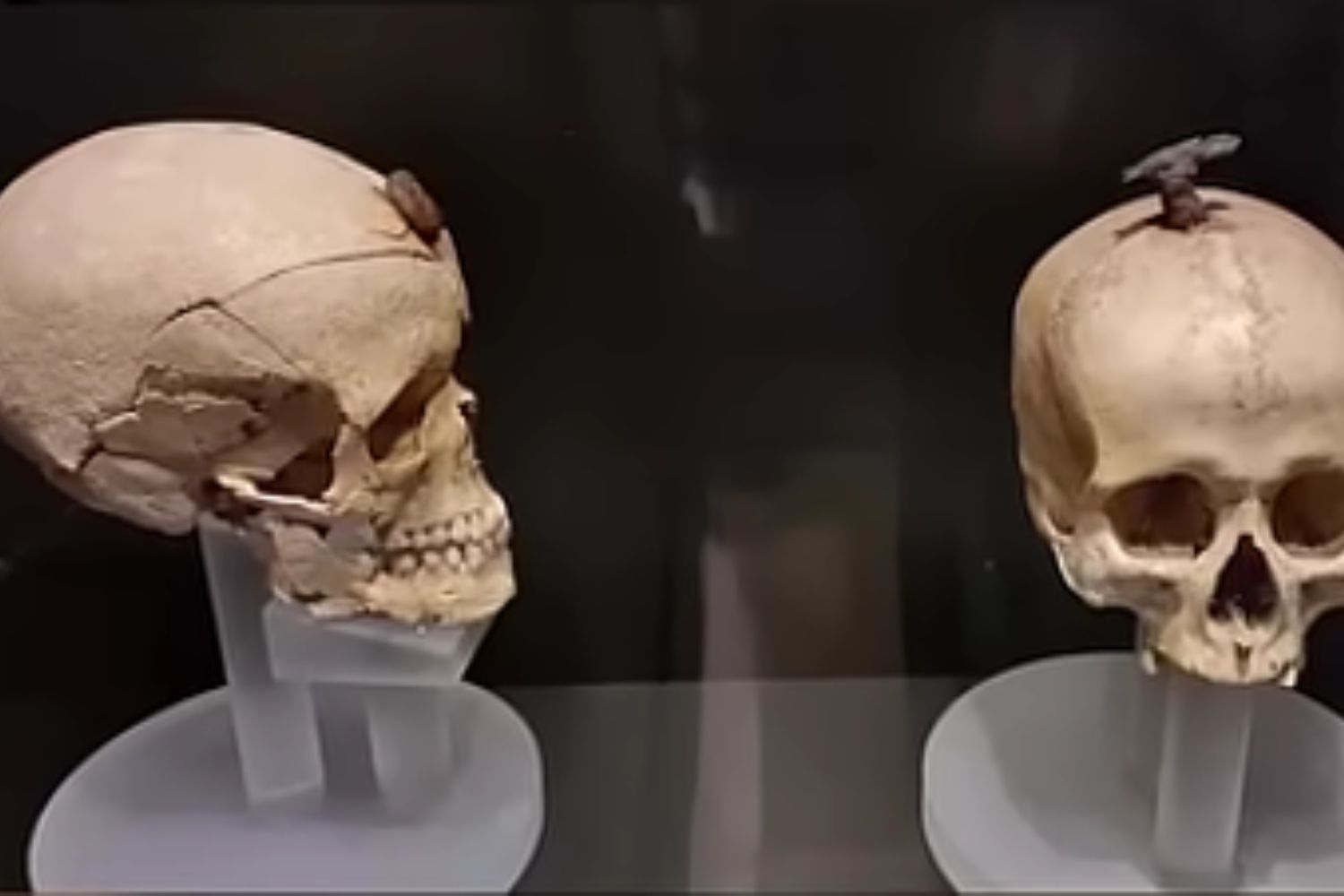 Diseño Sin Título 2025 11 26t104500.636