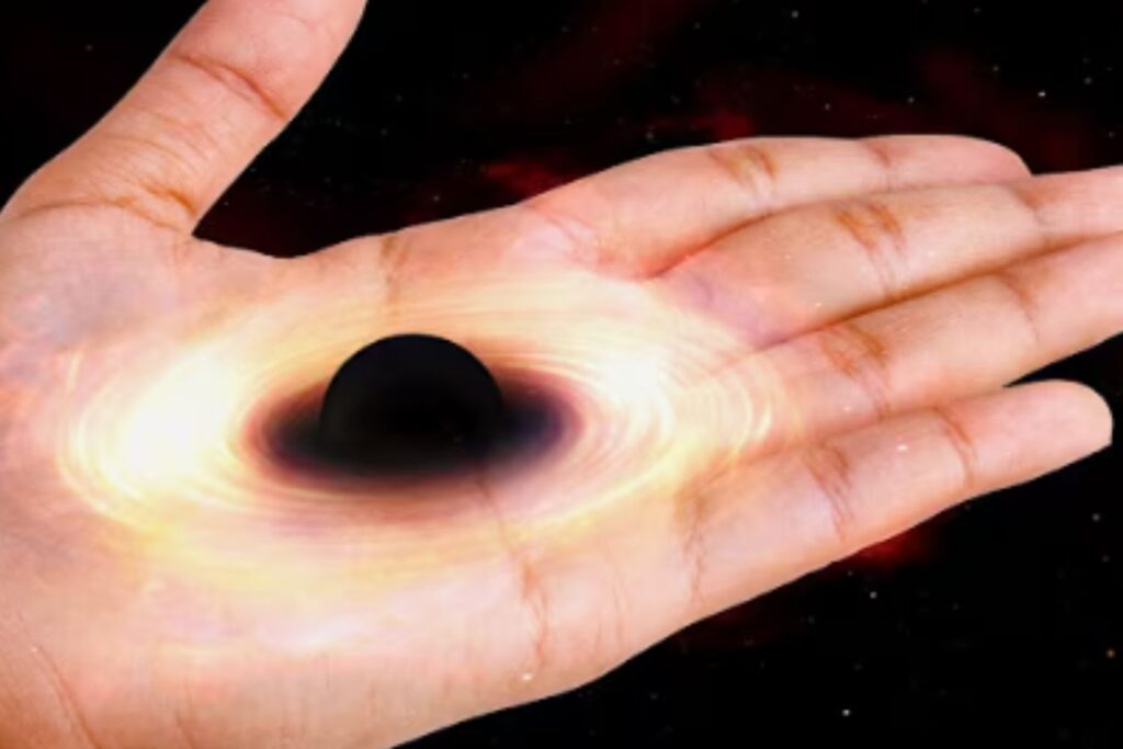 Diseño Sin Título 2025 11 26t105955.422