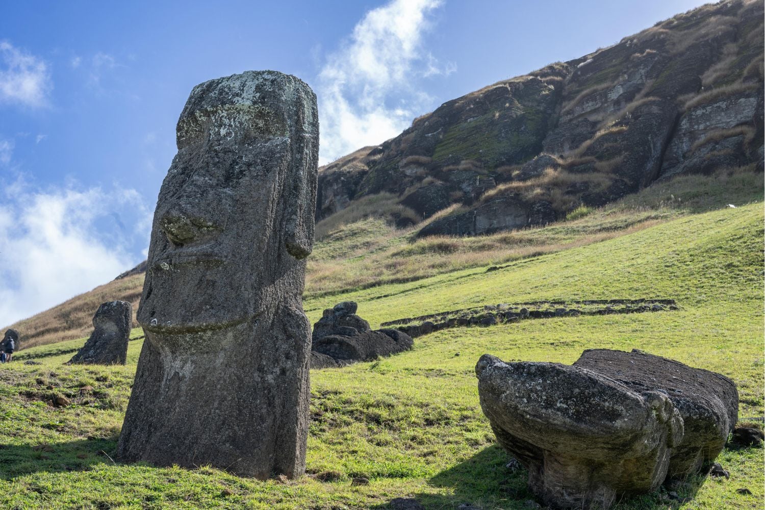 Diseño Sin Título 2025 11 27t104031.618