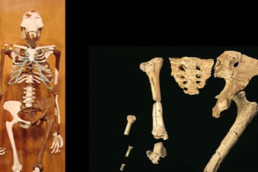 Diseño Sin Título 2025 11 27t112646.969