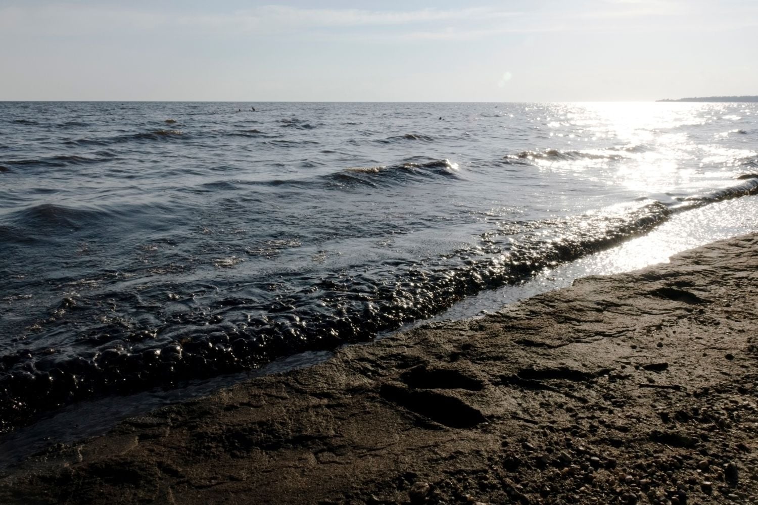 Diseño Sin Título 2025 12 01t075849.428