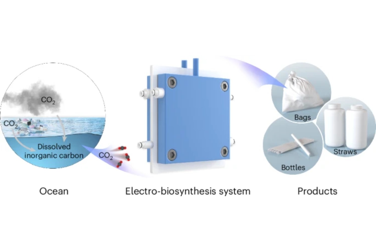 Lo que antes destruía los océanos ahora puede salvarlos. Un reactor chino convierte el CO₂ del agua marina en materiales biodegradables