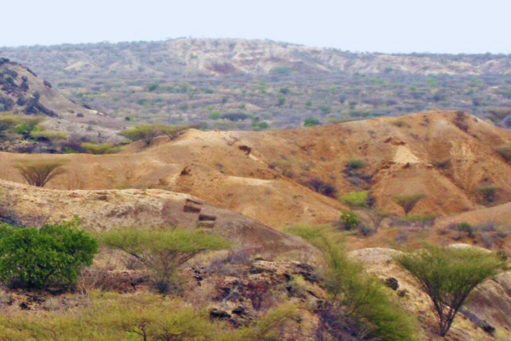 Hallazgo en Kenia retrasa los orígenes de la tecnología humana. 300.000 años fabricando las primeras “navajas suizas” de la humanidad