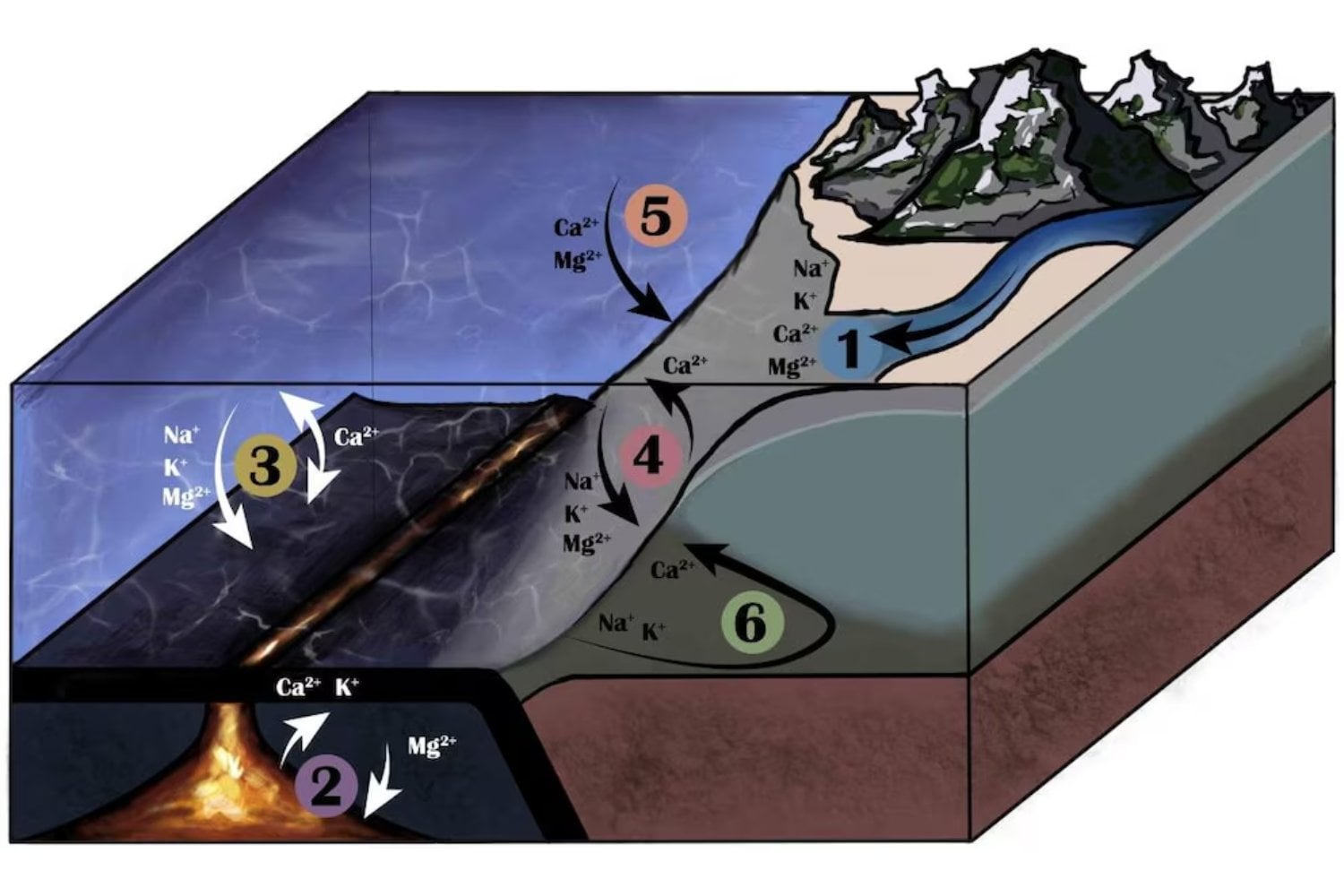 El mar tiene una fuente secreta de minerales bajo tierra. Y su hallazgo podría cambiar cómo entendemos el clima del planeta